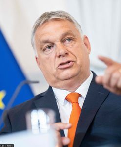 Błędy pogrążą Orbana? "Są problemy z dostawami żywności, szaleje inflacja"