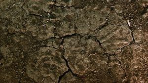 Gospodarka osadami ściekowymi w Szwajcarii 1