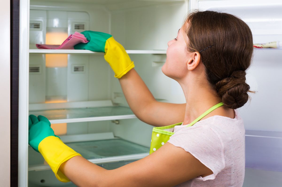 Don't forget about these places when cleaning the refrigerator.