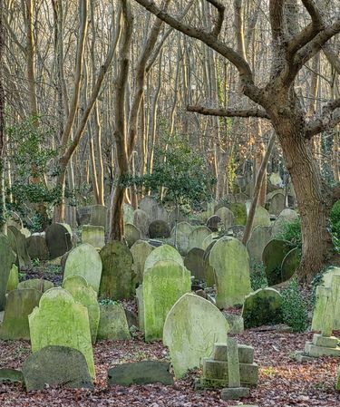 Many tombstones in the old cemetery disappear among the trees.