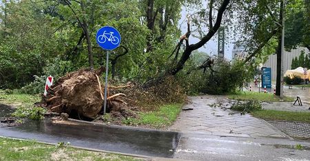 Nadciąga wichura, porywy wiatru sięgną 100 km/h. IMGW wydał ostrzeżenie II stopnia