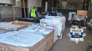Blisko 11 ton nielegalnych pestycydów nie trafiło na rynek