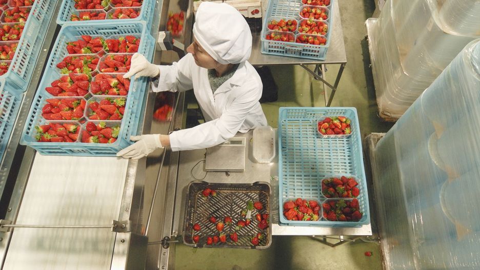 Syndyk masy upadłości sprzedaje spółkę (zdj. ilustracyjne) 