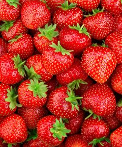 Problem z truskawkami? Tak nie było dawno