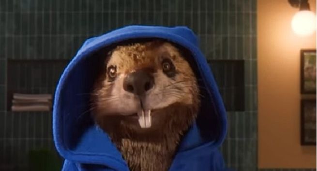 „Bobry vibe” w muzycznym spin-offie kampanii Pracuj.pl