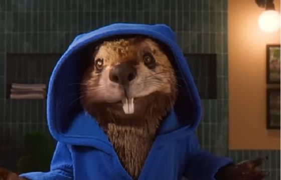 „Bobry vibe” w muzycznym spin-offie kampanii Pracuj.pl