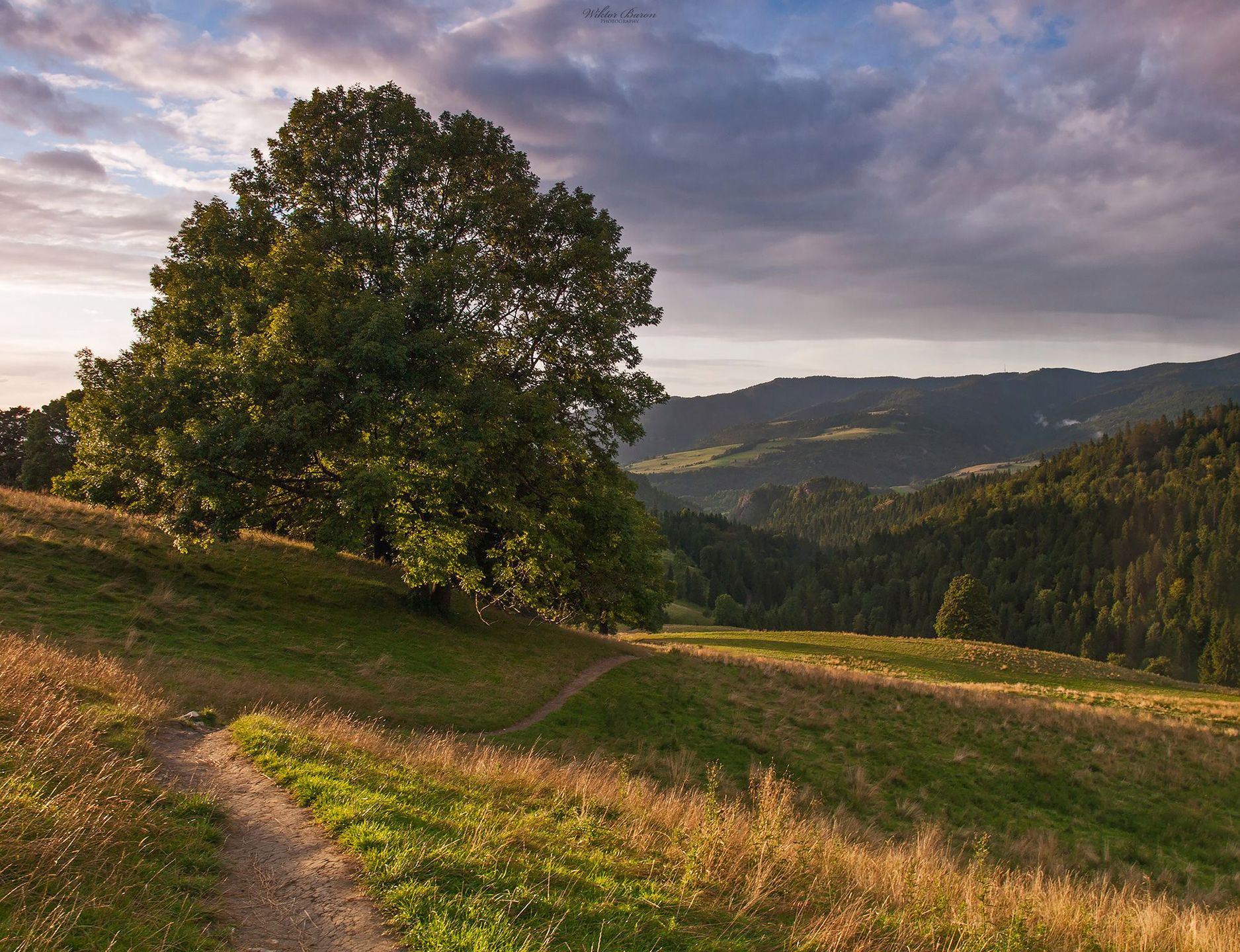 10 najpiękniejszych miejsc do fotografowania w Pieninach 25