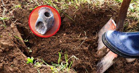 Prehistoryczne odkrycie w gminie Sztutowo. Odnaleziono tajemniczy przedmiot