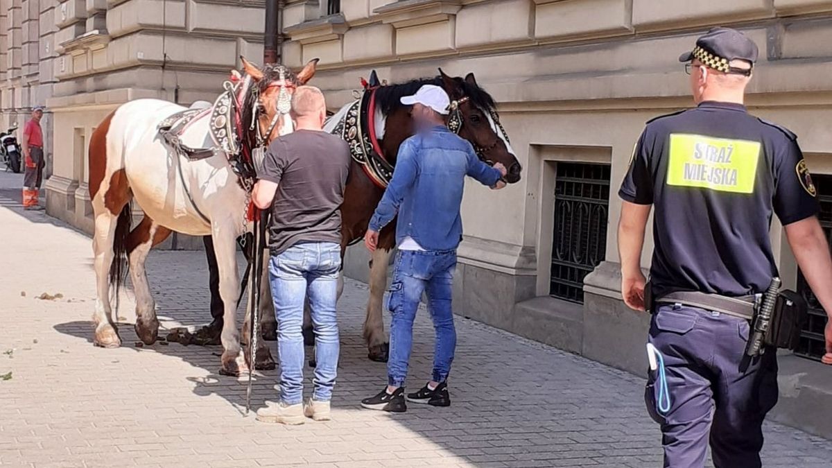 Ulicami Krakowa pędziła dorożka bez woźnicy