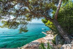 Tragedia na wyspie w Chorwacji. Walczą o życie Australijczyka