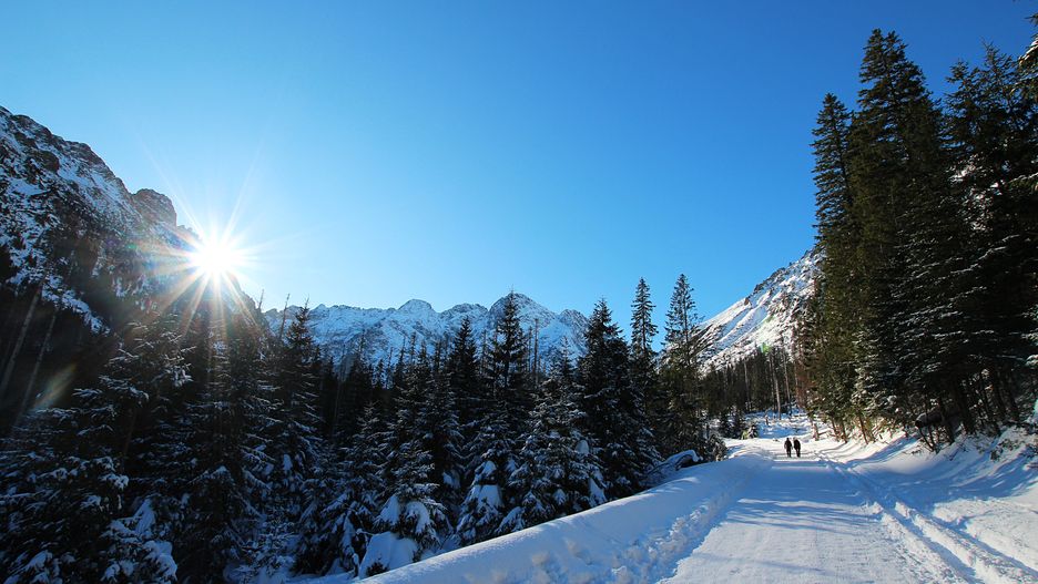 Na drodze prowadzącej do Morskiego Oka zaobserwowano aktywność 