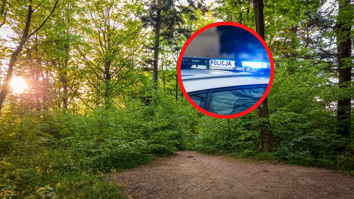 Tragiczne odkrycie w lesie.