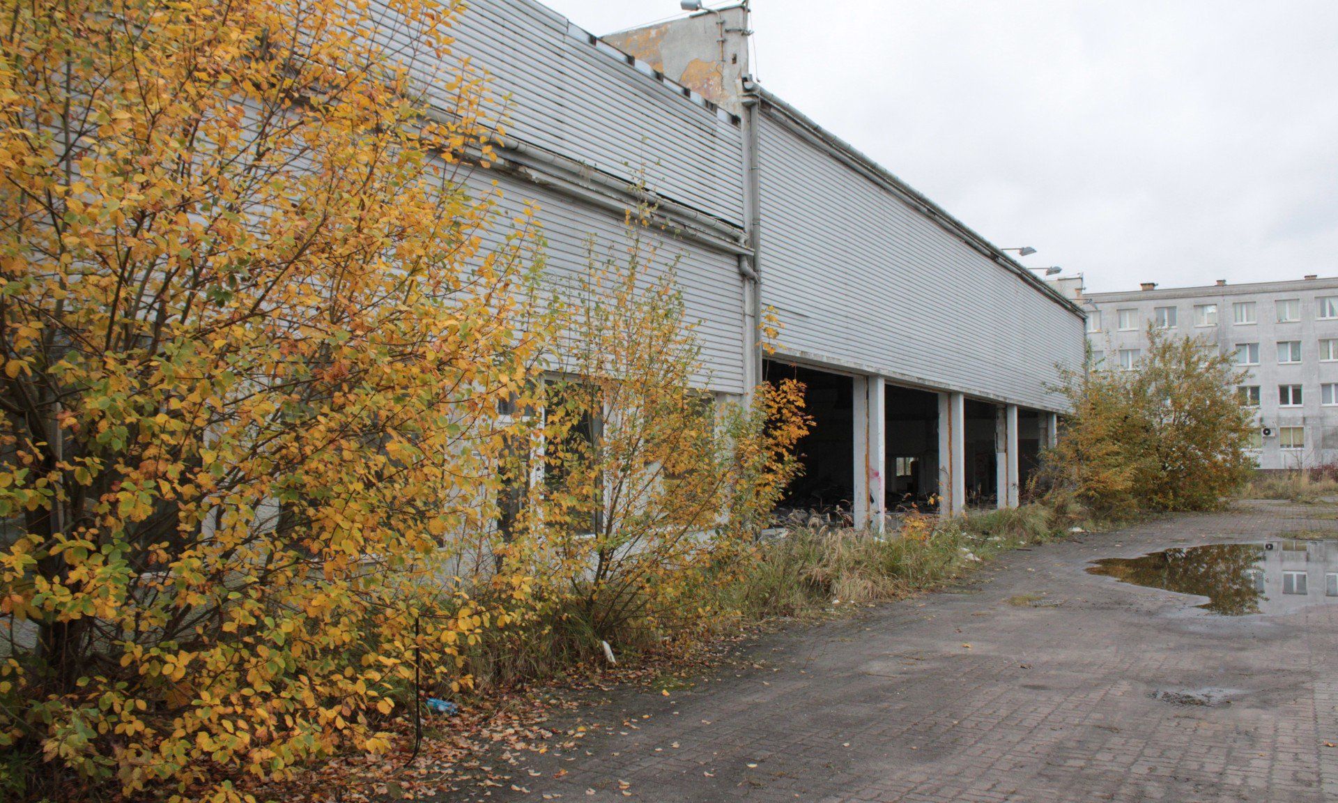 ZRUJNOWANE BUDYNKI PO GAZOPOLU