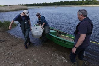 Katastrofa ekologiczna na Odrze może się powtórzyć. "Polska przygotowana"