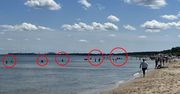 Niepokojące zdjęcia z Gdańska. Służby w pełnej gotowości