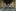 Google Pixel 3 kontra Sony A7R III. Tryb nocny w smartfonie robi wrażenie