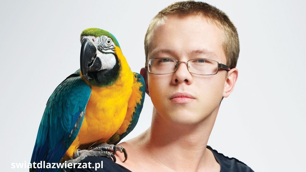 choroby zwierząt egzotycznych, chłopiec z papugą na ramieniu