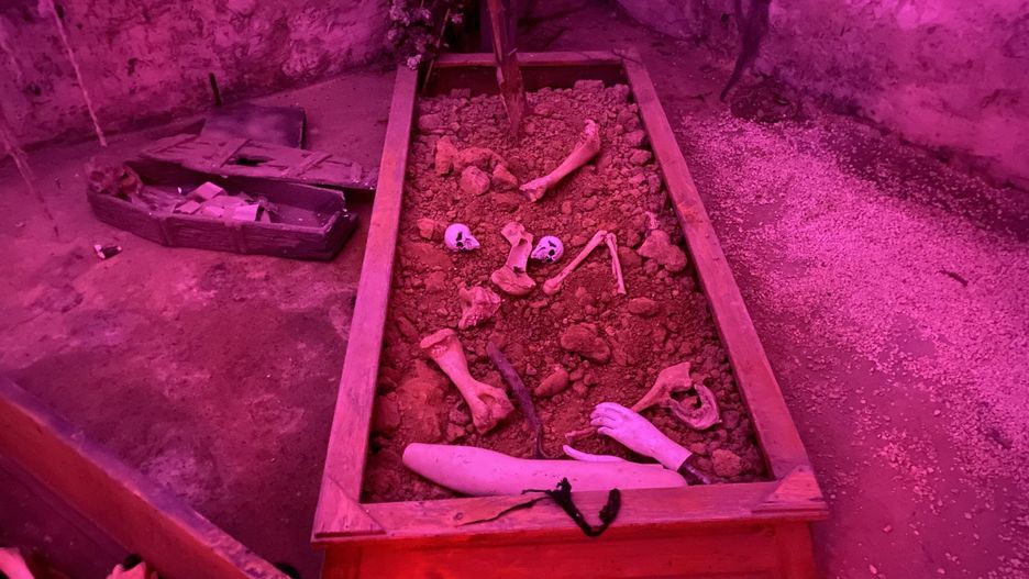 Laboratorium Frankensteina