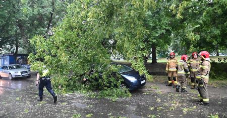 Sprzątali wiatrołomy. W druha uderzył piorun