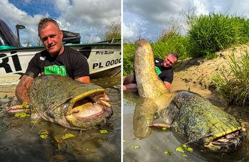 "Prawdziwy rodzynek". Miał 242cm. Pan Piotr zadziwił świat wędkarski