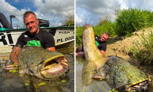 "Prawdziwy rodzynek". Miał 242cm. Pan Piotr zadziwił świat wędkarski