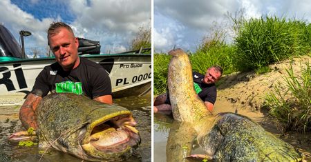 "Prawdziwy rodzynek". Miał 242cm. Pan Piotr zadziwił świat wędkarski
