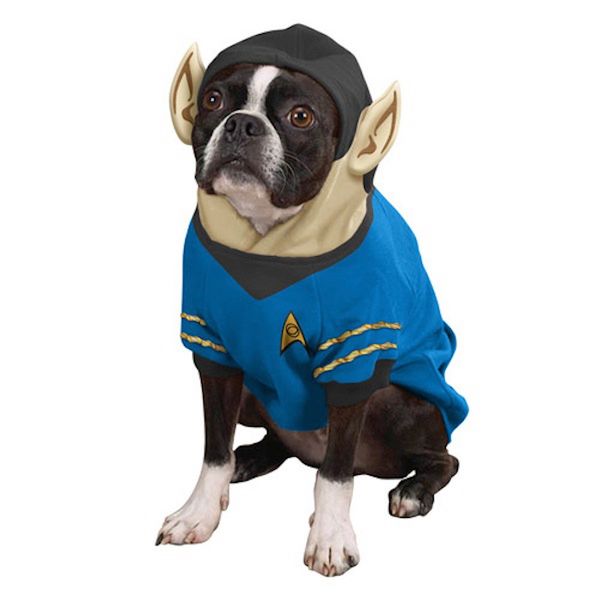 WTF dnia: przebierz swojego psa za Spocka [zdjęcie] 2