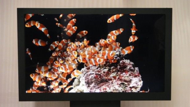 24 i 10 cali 3D bez okularów firmy Sony 1