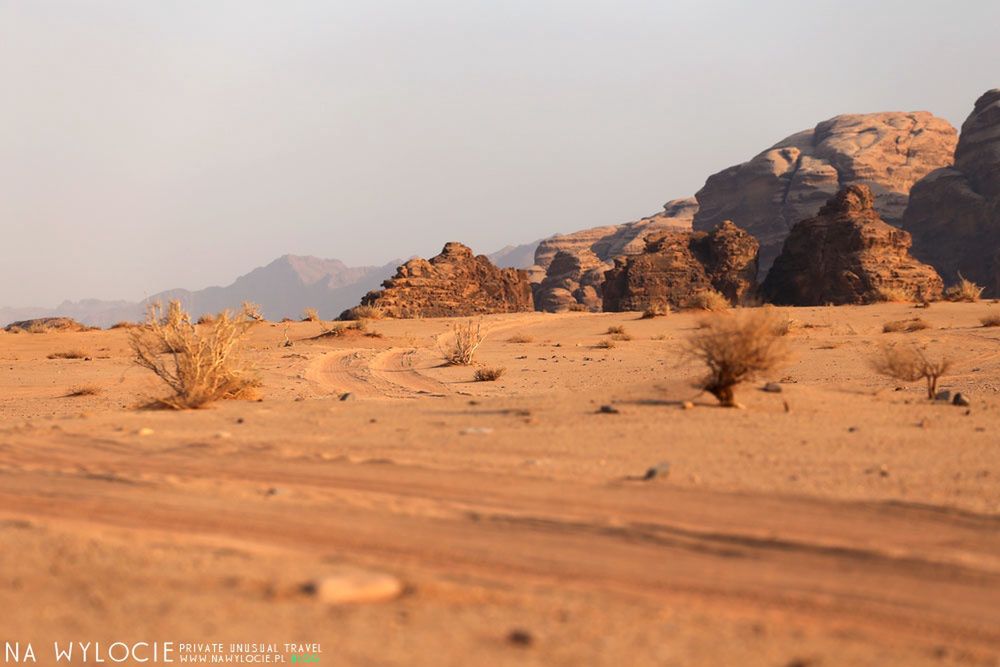 Pustynia Wadi Rum 