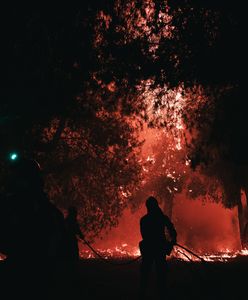 Dramatyczna sytuacja w Grecji. Ogień pustoszy lasy