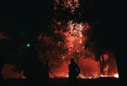 Dramatyczna sytuacja w Grecji. Ogień pustoszy lasy