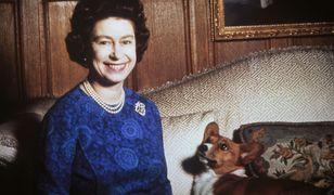Premiera szóstego sezonu "The Crown". Suczka Ziggi gwiazdą wieczoru