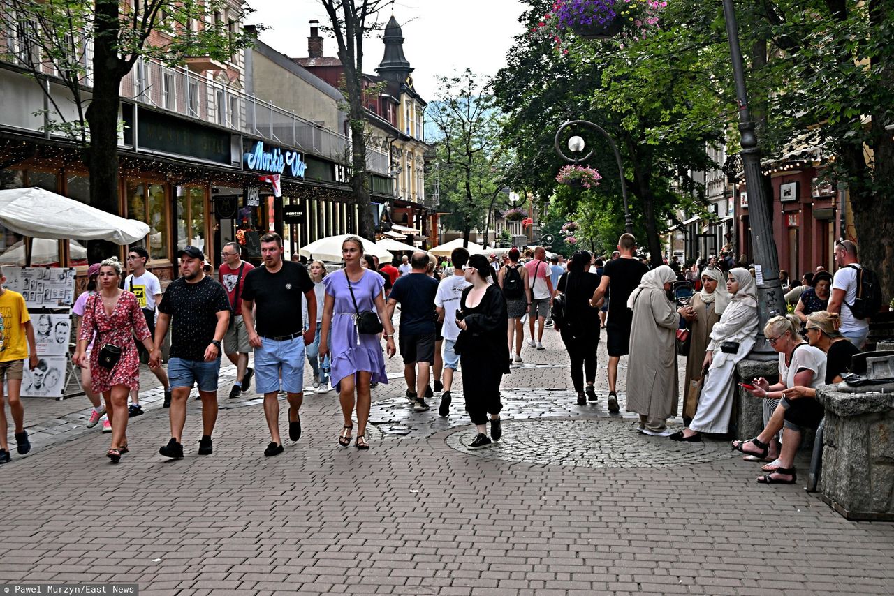 Łanie wchodzą do centrum Zakopanego