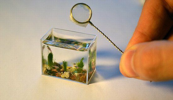 10 najpiękniejszych miniaturowych dzieł sztuki 9