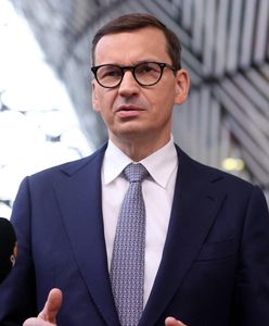 Polityk PO reaguje na apel premiera: "To jest schizofrenia"