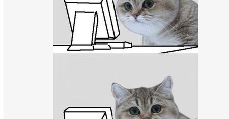 Kot, który paczy. Krótka historia internetowego mema