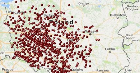 Dino otworzyło 25 nowych sklepów. Sieć liczy już 800 punktów