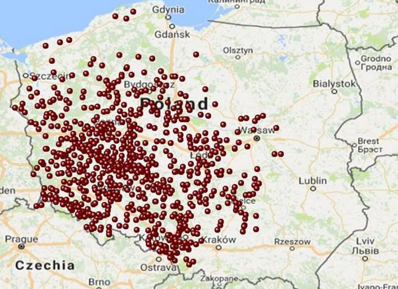 Polska sieć stawia kolejne sklepy w kraju.
