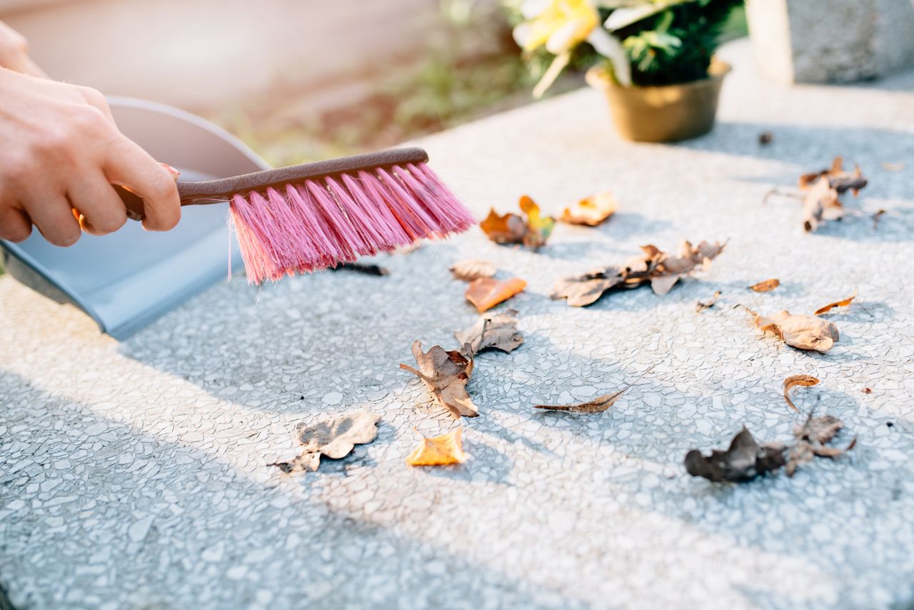 Czym myć lastryko? Unikaj powszechnego błędu