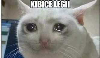 Memy po meczu Legii. Nie da się tego lepiej podsumować