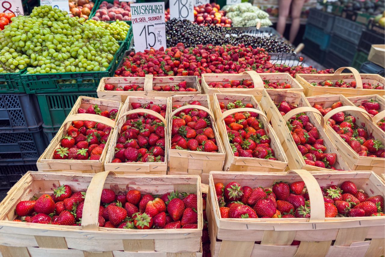 Zostaną tylko najdroższe truskawki. Kiedy koniec sezonu? Padł termin