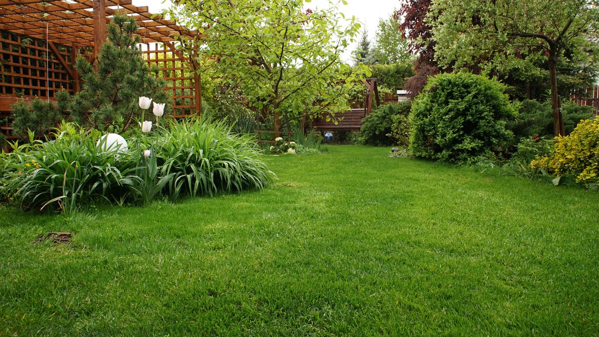 Zabieg sprawi, że trawa na wiosnę będzie gęsta niczym dywan