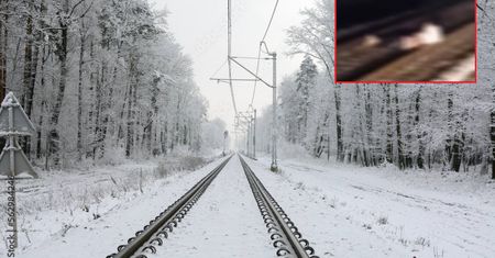 Skandal w Niemczech, pociągi opóźnione. Nieobyczajny incydent na torach