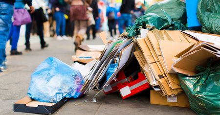 Pięć tysięcy złotych mandatu za śmiecenie. Idą dotkliwe zmiany w prawie