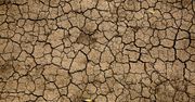 Coraz wyższe temperatury, coraz więcej CO2 w atmosferze. Kryzys klimatyczny dopiero się rozkręca