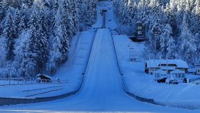 Będzie nowy "gigant"? Jasne stanowisko Pertile