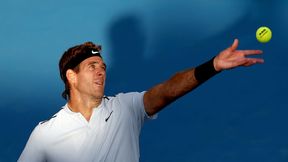 Ranking ATP: Juan Martin del Potro po 41 miesiącach wrócił do Top 10. Niewielki awans Jerzego Janowicza