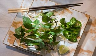 Greenstyle- moda na zdrowy tryb życia