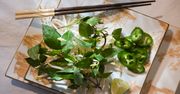 Greenstyle- moda na zdrowy tryb życia
