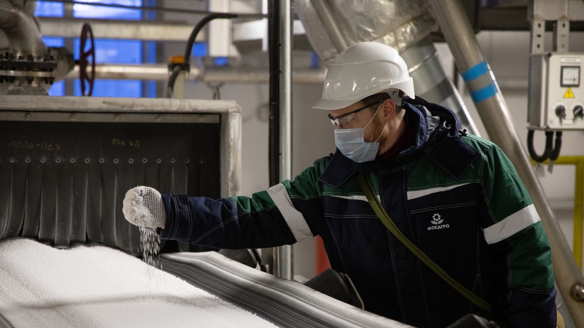 Rosyjski eksport nawozów pod względem wartościowym wzrósł w zeszłym roku aż o 70 proc.